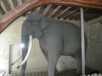 Stadtrundgang Tours 2