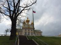 266 Peterhof