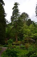 296 Wales, Bodnant Garden