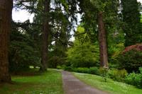 297 Wales, Bodnant Garden