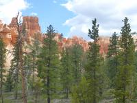 Bryce Canyon