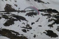 Paragleiter am Nebelhorn