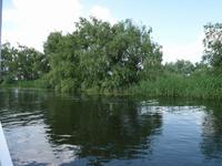 Biosphärenreservat Donaudelta