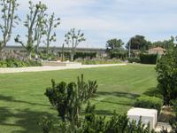 Botanischer Garten