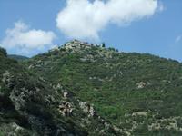Segre-Tal