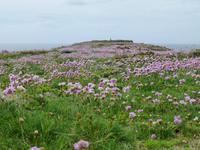 Stackpole Head