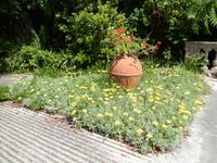 DSCN1545
