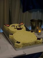 202