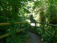 Sark-Fußweg vom Hafen nach oben