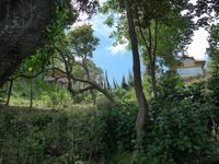 Guernsey-am Klippenweg