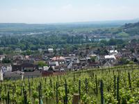 Blick auf Rüdesheim und den Rhein
