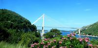 Brücke von Dubrovnik