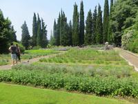 Kräutergarten im Parco Sigurta