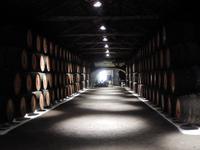 Portweinverkostung in Gaia