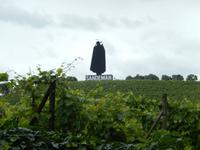 Weinverkostung in Peso da Regua