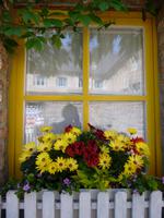 Blumenfenster Durbuy
