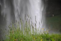 Seljalandsfoss Wasserfall 