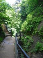 Shanklin Chine - Isle of Wight
