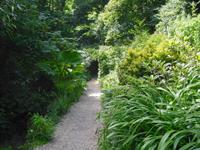 Shanklin Chine - Isle of Wight
