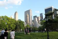 Central Park, New York City