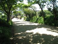 Sark Entdeckungstour