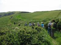 Sark Entdeckungstour
