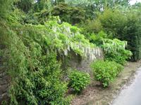 Jersey Inselrundfahrt