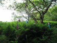 Wanderung Bonne Nuit Bay zur Rozel Bay auf Jersey