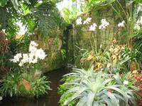 Eric Young Orchid Foundation auf Jersey