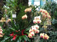 Eric Young Orchid Foundation auf Jersey