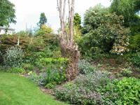 Besuch von Privatgärten auf Jersey