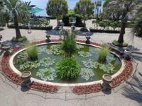 Seerosenteich auf der Isola Madre