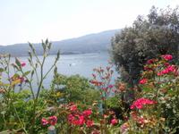 Frühling am Lago MAggiore