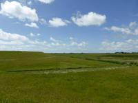 Blick vom Deich in die Salzwiesen 