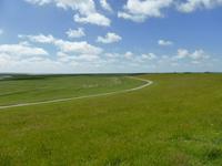 Blick vom Deich in die Salzwiesen 