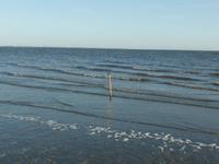 Wattwanderung - Ist Ebbe oder Flut?