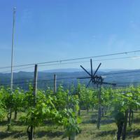 Südsteirische Weinstraße