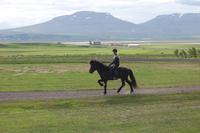 Anna´s Pferdezucht im Norden Islands