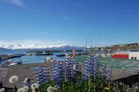 Hafen von Húsavik