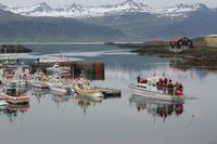Mittagspause in Djúpivogur  - tiefe Bucht