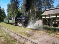 Zugvorfahrt in Sipitky