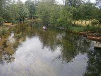 Natur pur am Fluß