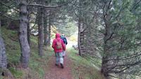 Wanderung - Vall de Riu