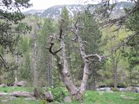 Wanderung - Sorteny Park