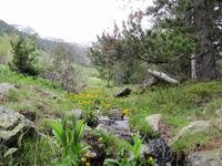 Wanderung - Sorteny Park