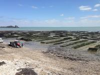 Austernprobe in Cancale