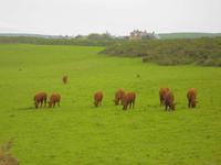 Tintagel - Boscastle