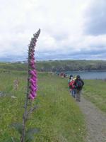 Kynance Cove - Lizard Point - Cadgwith