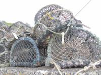 Kynance Cove - Lizard Point - Cadgwith