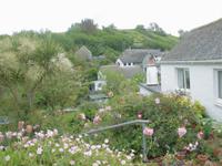Kynance Cove - Lizard Point - Cadgwith